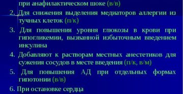 Препараты для снижения адреналина в крови. Лечение панических атак снижением дозы адреналина