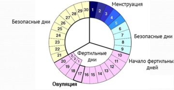 Можно ли забеременеть в последние дни цикла. Можно ли забеременеть в конце месячных