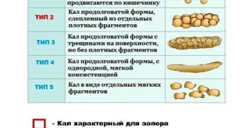 Овечий кал у человека: причины и опасность симптома. Кал как козий горох у взрослого лечение народными средствами