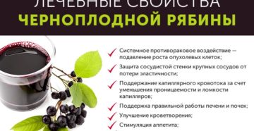 Черноплодная рябина сколько можно есть в день. Черноплодная рябина: в чем ее польза и противопоказания. Черноплодная рябина противопоказания