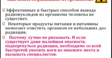 Обывателю на заметку: что выводит радиацию из организма. Как вывести радиацию из организма