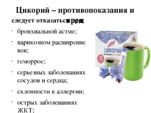 Можно ли пить цикорий на ночь: влияние на организм, польза и вред, рецепт приготовления. Цикорий полезен – сомнения нет! Он вылечит печень и диабет