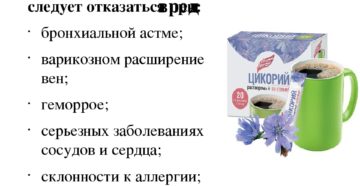 Можно ли пить цикорий на ночь: влияние на организм, польза и вред, рецепт приготовления. Цикорий полезен – сомнения нет! Он вылечит печень и диабет