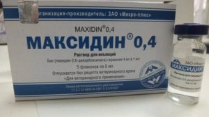 Капли максидин инструкция по применению. Максидин для кошек: инструкция по применению. Максидин для кошек - отзывы