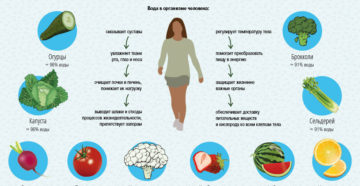 Продукты задерживающие воду в организме. Лишняя вода уйдет из организма, если ты знаешь эти секреты