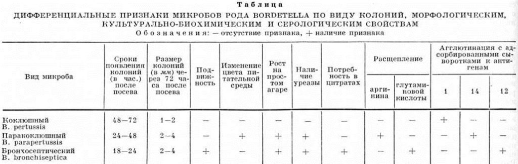 Симптомы коклюша у ребенка 5. Лабораторная диагностика коклюша. Симптомы и лечение паракоклюша