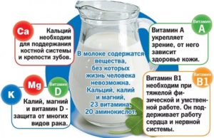 Молочные продукты для беременных. Почему нужно пить топленое молоко: незаменимые свойства продукта