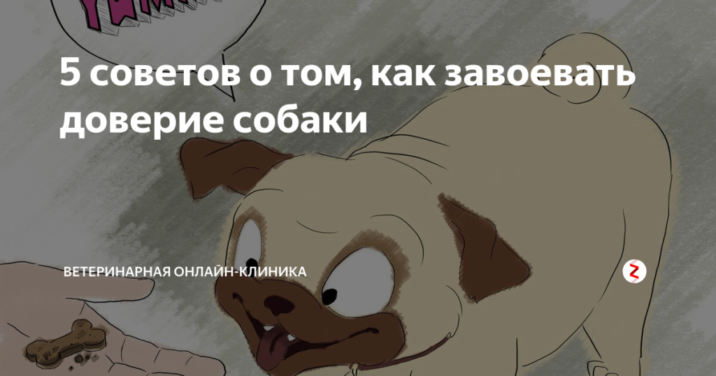 Как заслужить доверие собаки. Как завоевать доверие собаки. Как вернуть доверие собаки