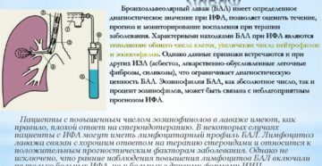 Бронхоальвеоля­рный лаваж. Лаваж бронхоальвеолярный Бронхоальвеолярный лаваж кот