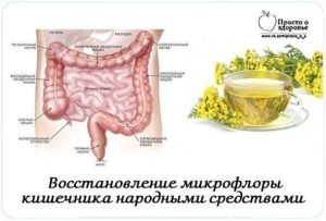 Как восстановить кишечник после долгого приема слабительных. Восстановление работы кишечника после операции. Пищеварительные ферменты для микрофлоры кишечника