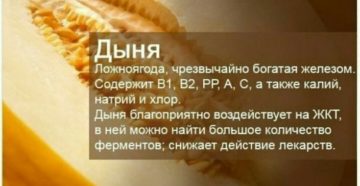 Интересные факты о дыне. Лечебные свойства дыни