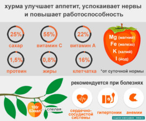 Польза хурмы во время диеты. Хурма для похудения. Полезные свойства хурмы, способствующие похудению