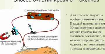 Очищение крови в домашних условиях. Чистка крови как называется процедура