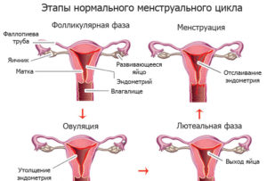 Может ли нарушаться менструальный цикл из-за антибиотиков. Нарушения менструального цикла: как найти и устранить причину Может ли сбиться цикл если