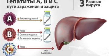 Насколько опасен гепатит С для окружающих? Чем страшен гепатит с для того кто заболел и для окружающих