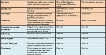 Строение и функции органоидов клетки. Органоиды –. Что такое органоид? Строение и функции органоидов. Органоиды растительной клетки. Органоиды животной клетки