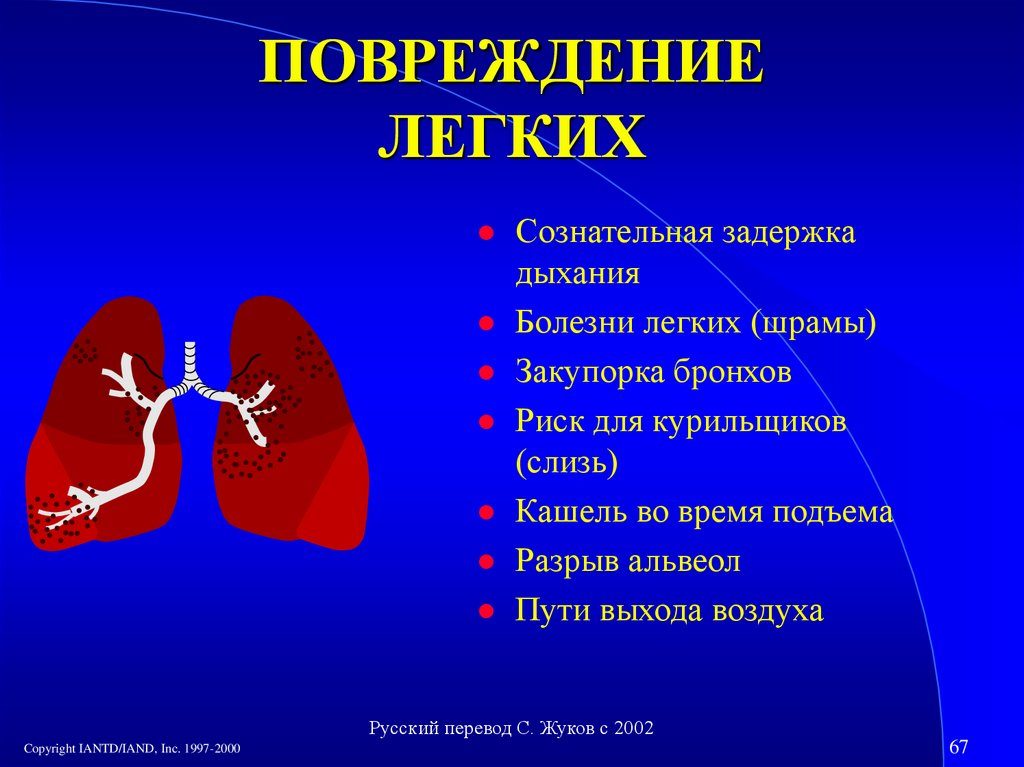 Ранение легкого. Повреждения лёгких