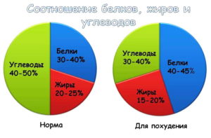 Бжу для похудения. Научные основы похудения. Правильное соотношение белков, жиров и углеводов для похудения