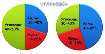 Бжу для похудения. Научные основы похудения. Правильное соотношение белков, жиров и углеводов для похудения