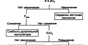 Гиперкапния: симптомы и лечение. Гиперкапния и ее влияние на организм