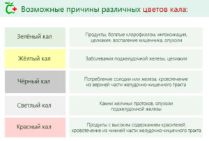 Что делать если кал темно зеленого цвета. Что означает цвет кала. Причины изменения цвета кал