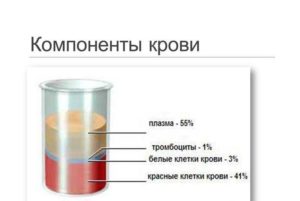 Из каких химических элементов состоит кровь. Зачем нужна кровь человеку и из каких компонентов она состоит. Основные функции эритроцитов в крови