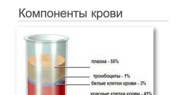 Из каких химических элементов состоит кровь. Зачем нужна кровь человеку и из каких компонентов она состоит. Основные функции эритроцитов в крови