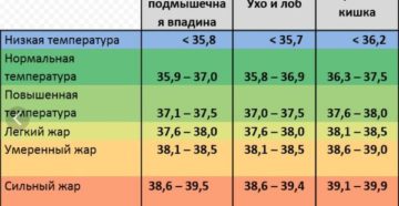 Температура сама поднимается и опускается. Почему скачет температура. Повышенная температура тела