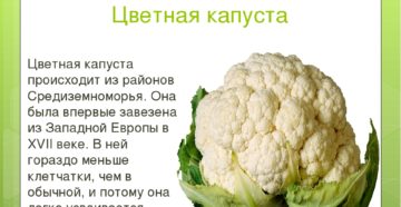 Лечебные свойства, польза и вред цветной капусты для организма человека. Цветная капуста — полезные свойства и противопоказания