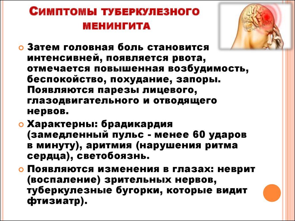 Воспаление мозговых оболочек у собак. Симптомы менингита у собак и способы лечения. Cимптомы менингита у собак и кошек