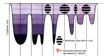 Сколько должно быть глубокого сна. Здоровый сон — какой он? Состояние человека в период глубокого сна