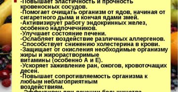 Как сохранить сосуды здоровыми и эластичными. Как улучшить эластичность сосудов: способы, советы и рекомендации