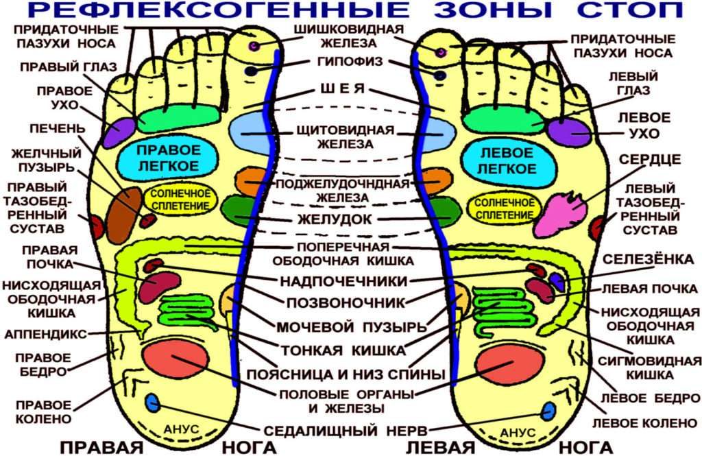 Точки на стопах ног отвечающие за органы. Биологически активные точки на стопах ног: полная схема