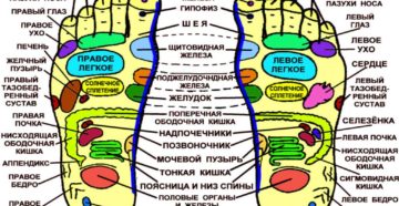 Точки на стопах ног отвечающие за органы. Биологически активные точки на стопах ног: полная схема