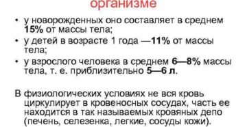 Примерный объем крови взрослого человека. Количество крови в организме взрослого человека: как рассчитать и основные функции. Что делать если началось кровотечение