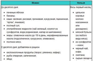 Питание кормящей мамы по месяцам комаровский меню. Диета кормящей мамы по месяцам: что рекомендует Комаровский