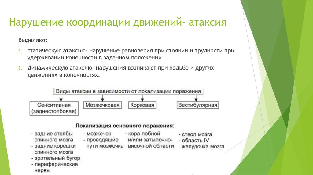 Нарушение координации движения у кошек причины. Нарушение равновесия (координации движений) у собак и кошек