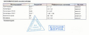 Расшифровка анализа крови на холестерин. Обозначение холестерина в биохимическом анализе крови