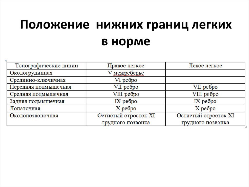 Расположение нижних границ лёгких в норме. Перкуссия легких