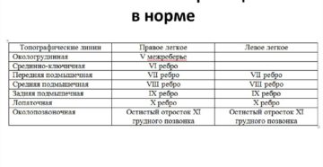 Расположение нижних границ лёгких в норме. Перкуссия легких