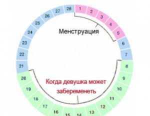 Можно ли забеременеть девочкой перед месячными. За сколько дней до месячных можно забеременеть