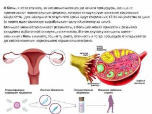 Бесплодие не приговор: как проводить стимуляцию овуляции народными средствами. Как простимулировать созревание и выход яйцеклетки народными способами