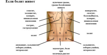 Болит левый бок в середине живота. Почему болит левый бок внизу живота у женщин?