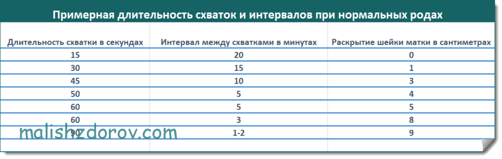 Родовые схватки интервал и длительность. Предродовые схватки и интервал между ними